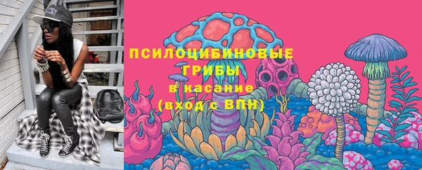 твердый Алексеевка