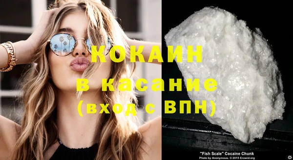 кокс Алексин