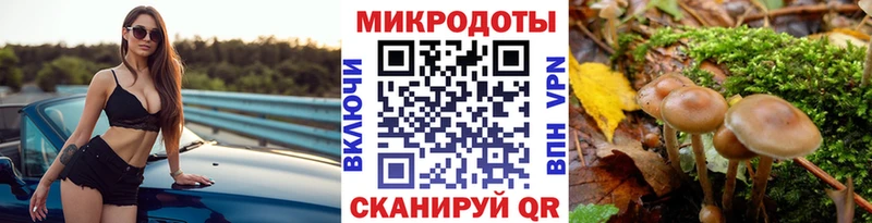 Галлюциногенные грибы GOLDEN TEACHER  Опочка 